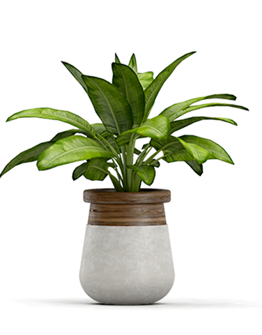 Карточка товара