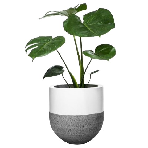 Карточка товара