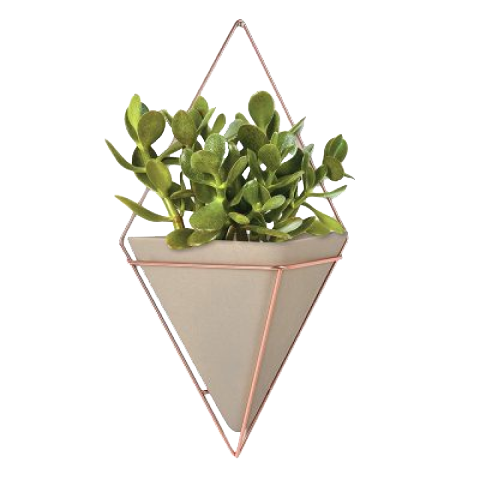 Карточка товара